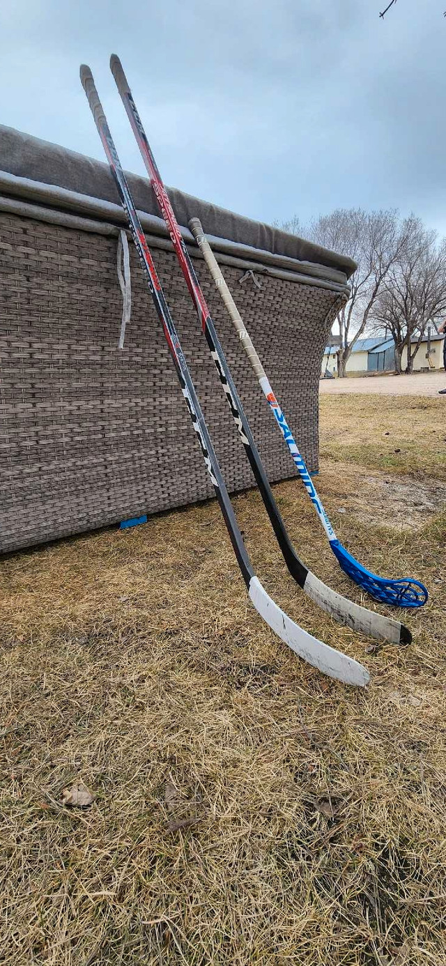 Hockey sticks in Hockey in Winnipeg