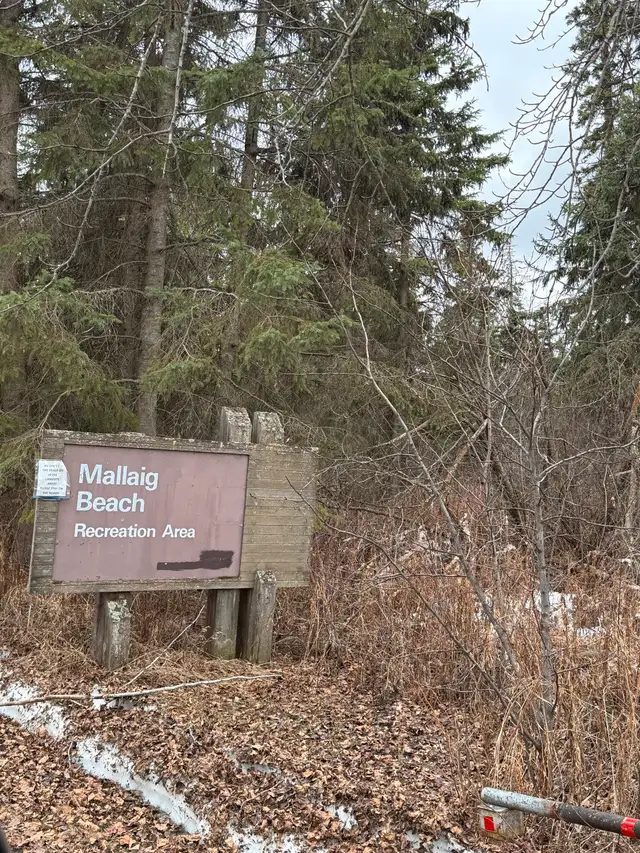 LAKE LOTS Michaud Estates, Vincent Lake Alberta63611986868993124