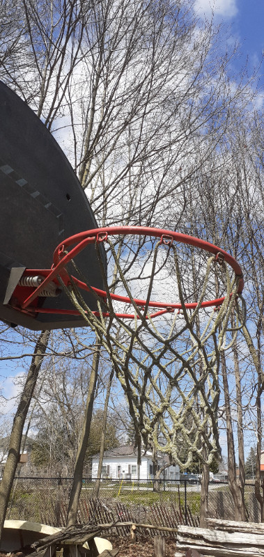 Adjustable Basketball Net in Basketball in Oshawa / Durham Region - Image 3