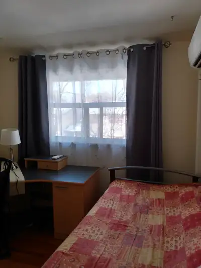 Seeking a female roommate for our household in North York ON