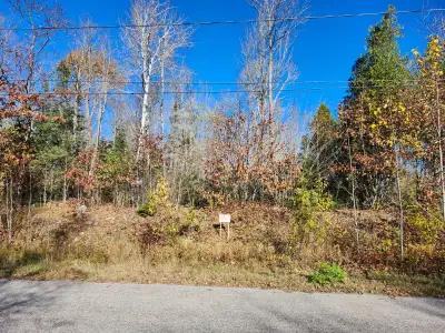 1 acre of surveyed untouched land in Forest Glen area of Blind River. Water, hydro and gas available...