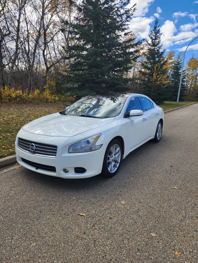 2011 Nissan Maxima SV Premium606387616320081925