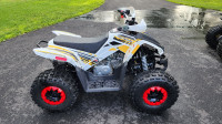 Tao Tao Trailhawk 125cc atv