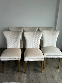 6 Dining Chairs Beige Velvet Gold Metal Legs -- Brand New --