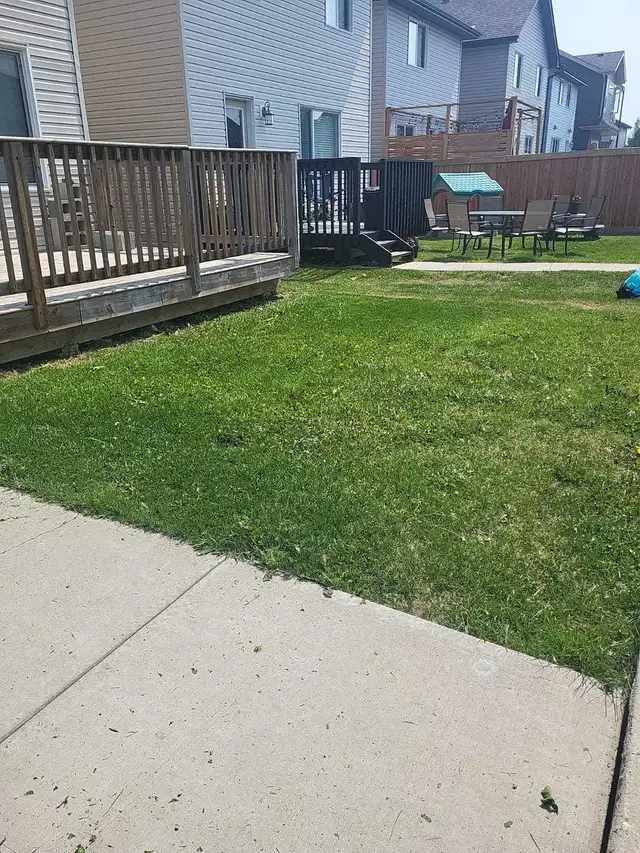 A&Z Grass Cuttimg Services460987375111393284