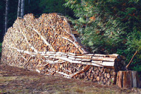 FIREWOOD FOR SALE IN CALEDON
