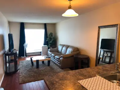 17404-64 AV. 1 bed.+den Laundry in a sweet,u/g parking Augus 1t