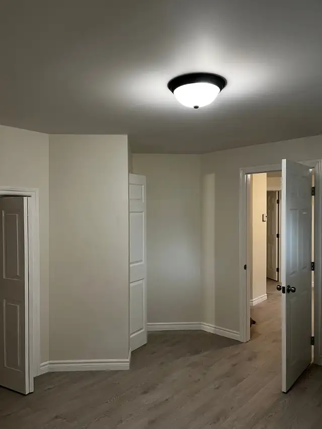 Peintre PLUS - Professional, Clean, and Efficient63654773447041126