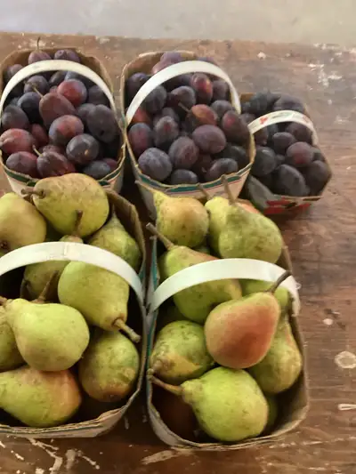 Paniers de fruits frais - Prunes et poires, View more
