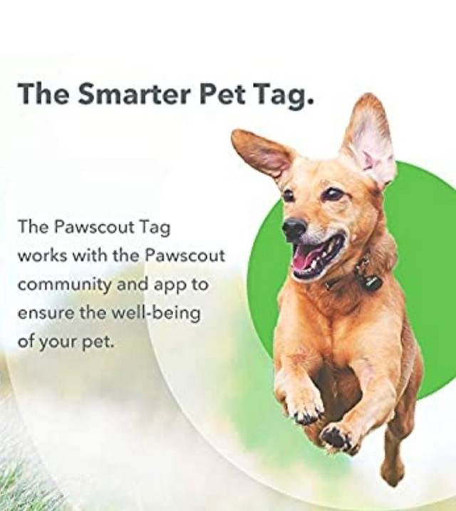 Pawscout Smarter Pet Tag: Dog & Cat Bluetooth Pet Tracker NIB in Accessories in Gatineau - Image 2