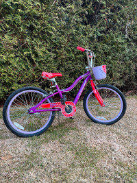 20” Purple Schwinn Bicycle