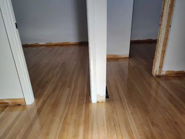 Floor sanding62863251850754124