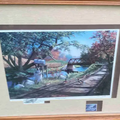 Ducks Unlimited special commerative, View more