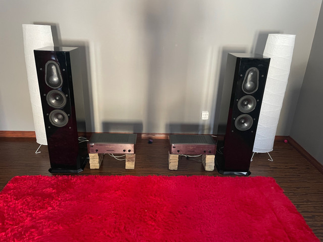 SONY TA- N110 POWER AMPS X 2 in Stereo Systems & Home Theatre in Calgary