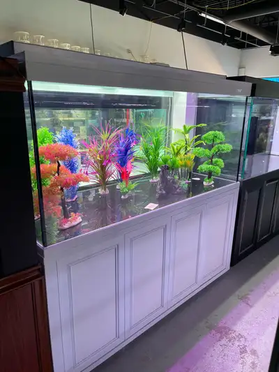 All fish Tank Big discount , View more
