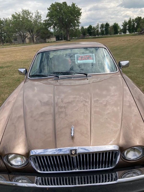 Jaguar Classic Cars Lethbridge Kijiji