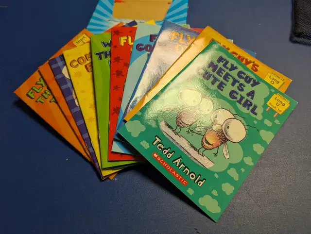 Fly Guy Phonics Books Box Set528934464180070402