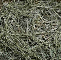 Large bag of timothy hay for guinea pigs ,rabbits 