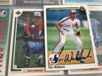 Tim Wallach signed card fron the  Montreal expos 3rd baseman