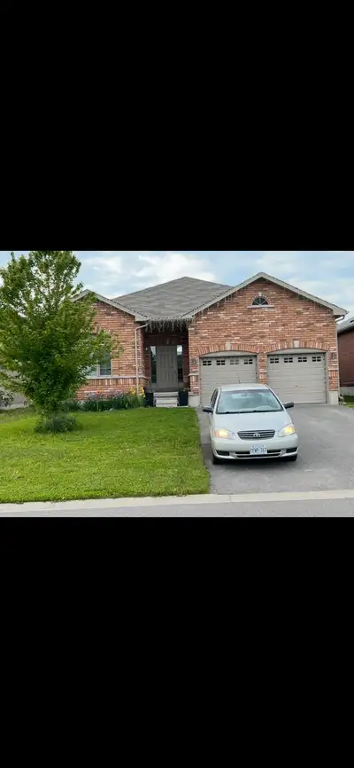 house for rent