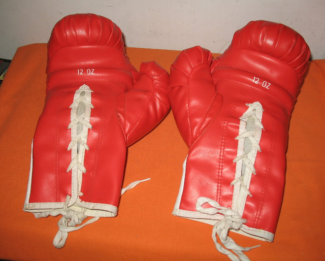 Boxing Cloves 12oz Weight - Great Condition. in Exercise Equipment in Edmonton - Image 3