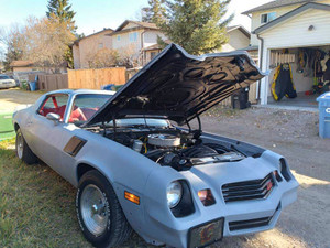 1981 Chevrolet Camaro Z28