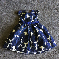 Toddler size 4 fancy dress