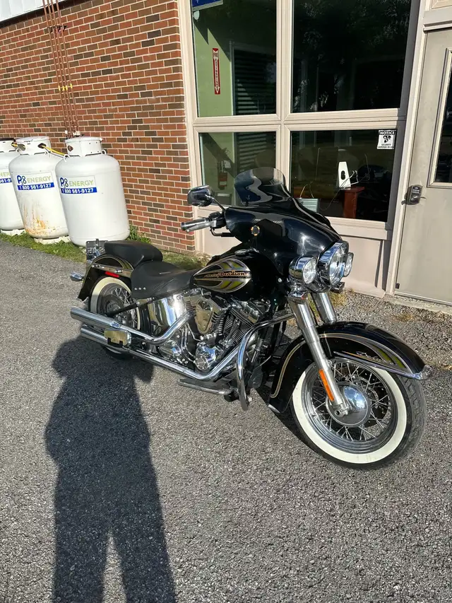Harley Davidson Limited Edition in Street, Cruisers & Choppers in Ottawa - Image 2