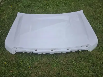 I have a white hood that fits 2009 to 2014 F150 trucks. Great condition with a couple of minor flaws...