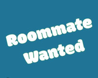 Female Roommate Wanted 