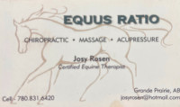Equine Physical Therapist