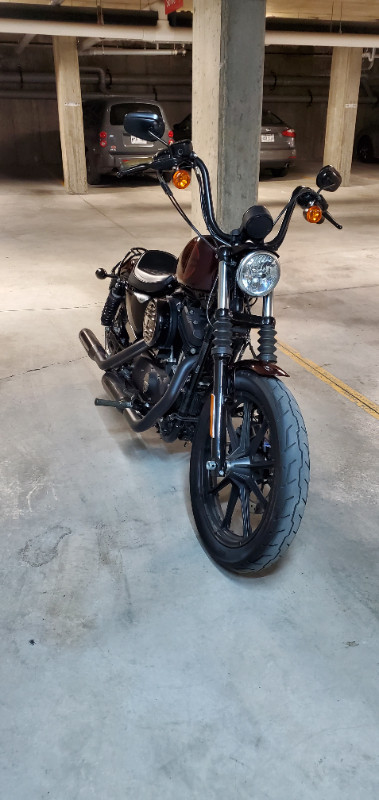 Harley Davidson 2019 sportster iron 1200 (FINANCEMENT DISPONIBLE dans Utilitaires et de promenade  à Longueuil/Rive Sud - Image 2
