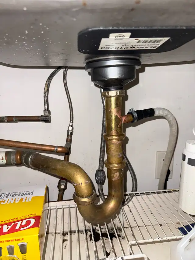 Plumber Licensed 603224687500349441