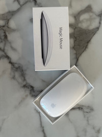 Apple Magic Mouse - Battery Powered
