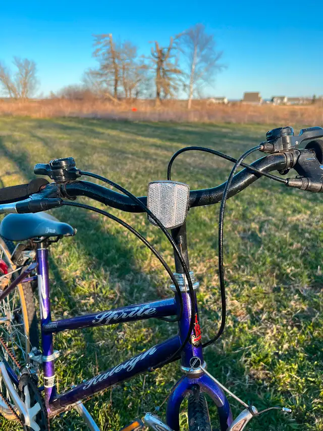 2 Raleigh bikes in Other in Charlottetown - Image 10