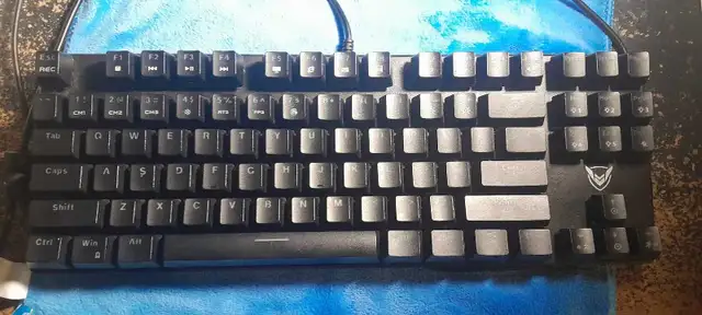 Mechanical Gaming Keyboard - Blue Switches (Clicky) in Mice, Keyboards & Webcams in Mississauga / Peel Region - Image 3