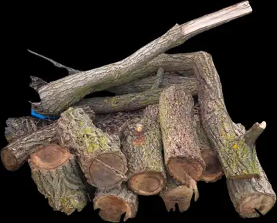 Black walnut logs / wood blanks / woodworking wood / air dried, View more