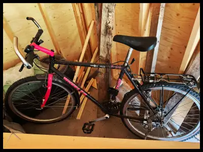 Older Bicycle - Works well but needs repairs, View more