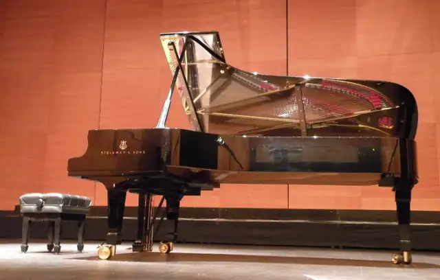 ♫ In-Home Piano Lessons (KWC/Guelph)63284920568707122