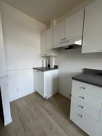 3 1/2 rosemont petite patrie promenade masson