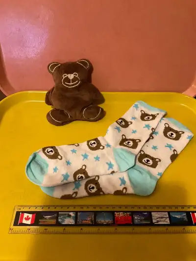Pick up is in Thornhill, nearest cross streets Bayview and Proctor. Cute little plush teddy and matc...