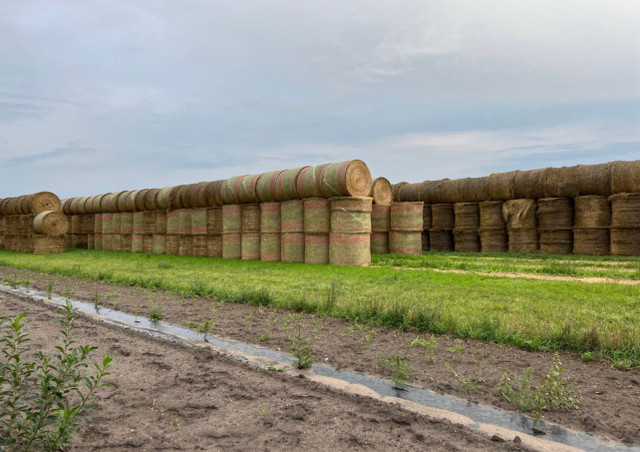 Hay for sale in Other in Swift Current - Image 4