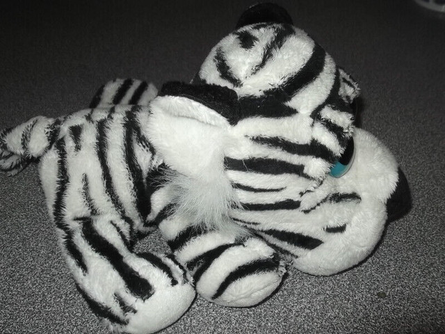 tigre aux yeux bleus dans Jouets et jeux  à Longueuil/Rive Sud - Image 2