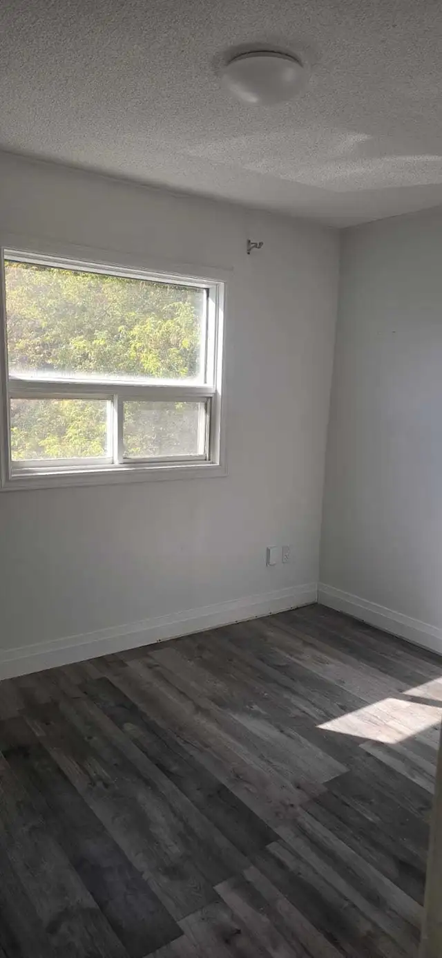 Self Contained Apartment