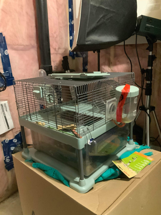Hamster cage  in Small Animals for Rehoming in Windsor Region - Image 2