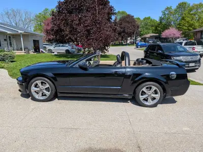 2008 Ford Mustang GT/CS 5 speed in immaculate condition, always stored indoors and meticulously main...