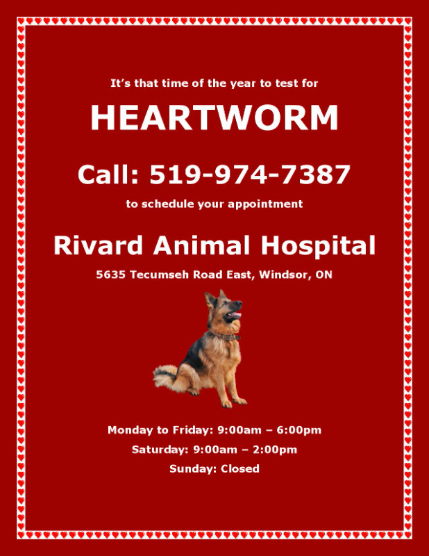 HEARTWORM TEST IN WINDSOR | Animal & Pet Services | Windsor Region | Kijiji