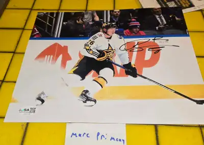 Rasmus Dahlin signed 8x10 photo Sabres All-Star Hockey, View more