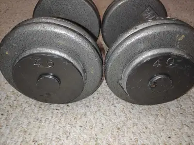 40 lb Dumbbells , View more