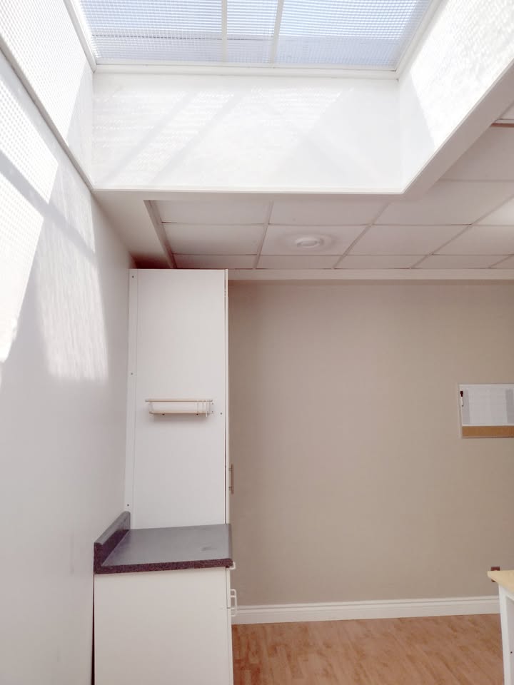 Bright 1 Bedroom – Upper Beaches – Utilities Included – 600 sqft 2